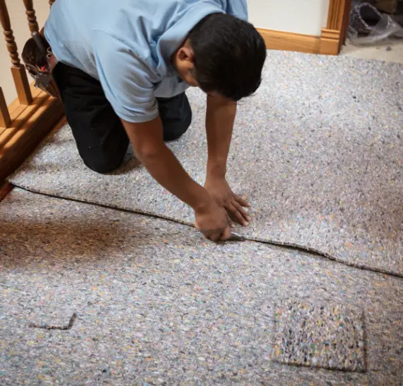 True Care for Your Carpets